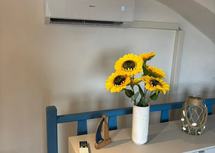 Duplex Vieille - Sea View